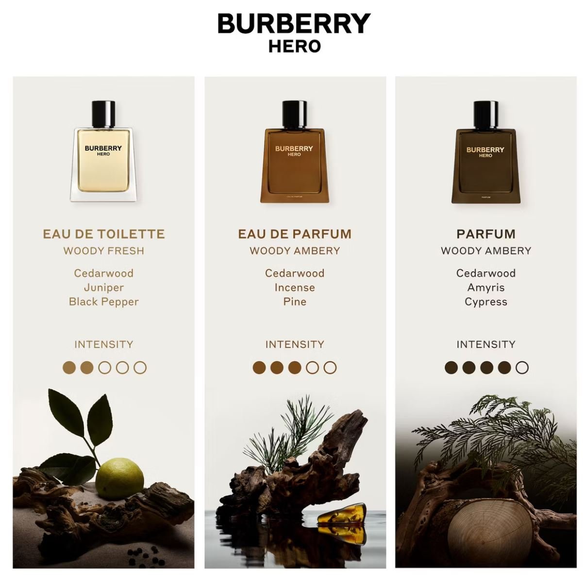 Perfume Burberry Hero Eau de Toilette Masculino 100ML