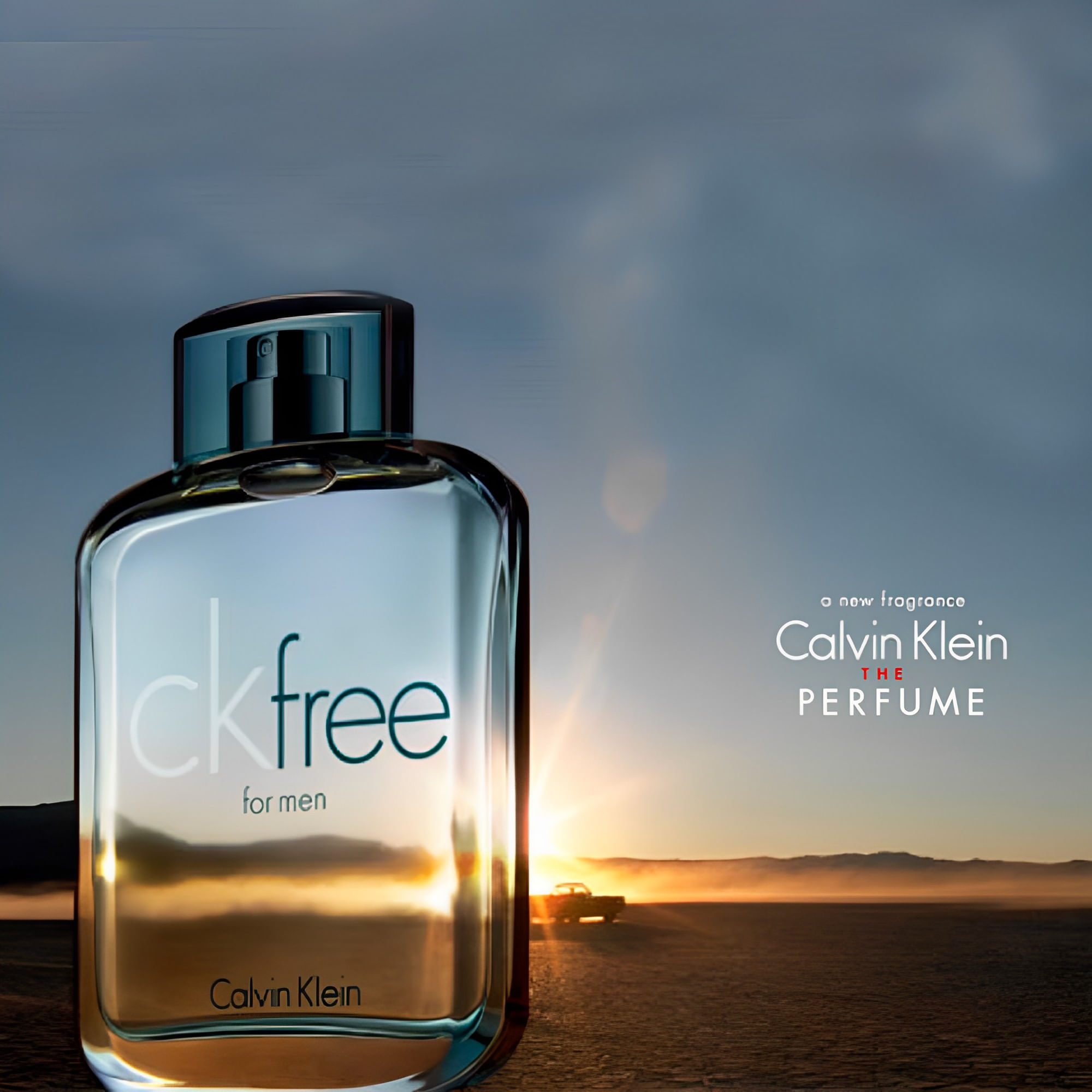 Perfume Calvin Klein CK Free Eau de Toilette Masculino 100ML