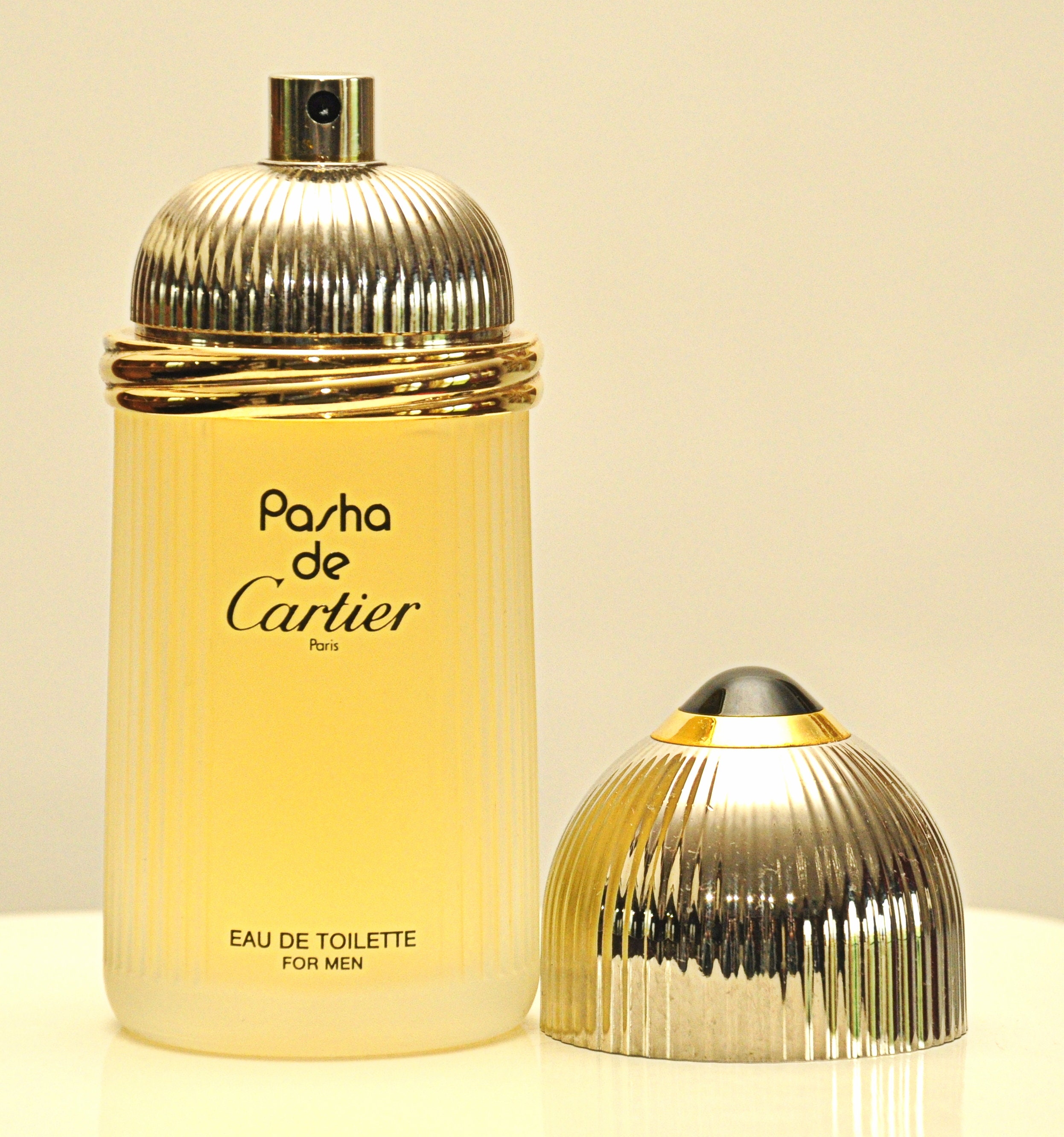 Perfume Cartier Pasha de Cartier Eau de Toilette Masculino 100ML