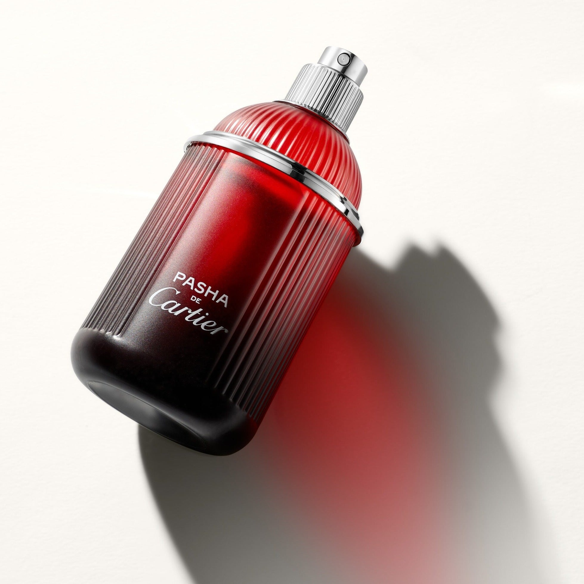 Perfume Cartier Pasha de Cartier Edition Noire Sport Eau de Toilette Masculino 100ML