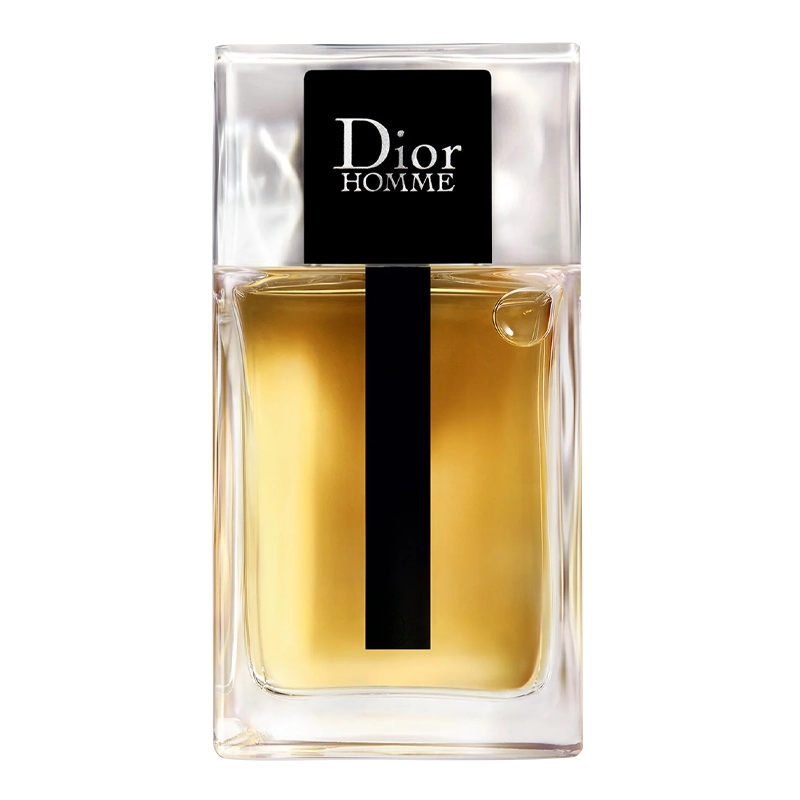 Perfume Christian Dior Homme Eau de Toilette Masculino 100ML