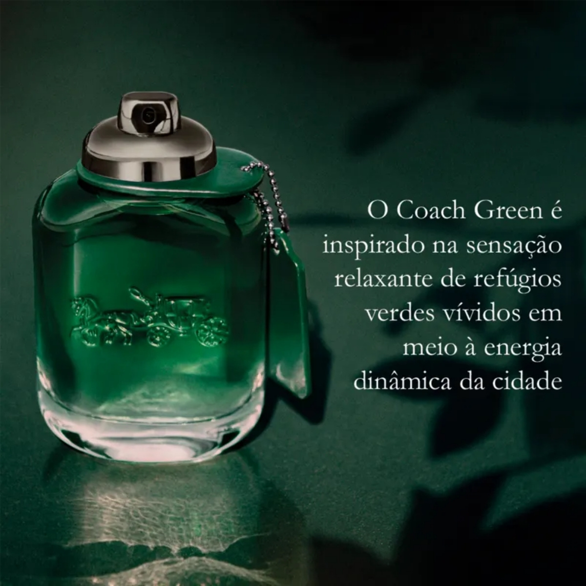 Perfume Coach Green Eau de Toilette Masculino 100ML