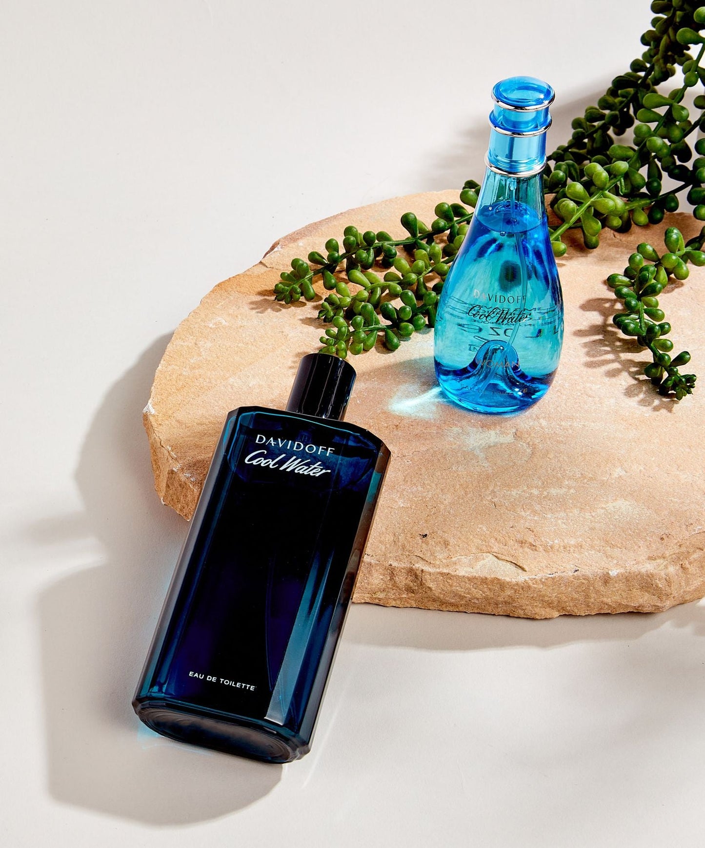 Perfume Davidoff Cool Water Eau de Toilette Feminino 50ML