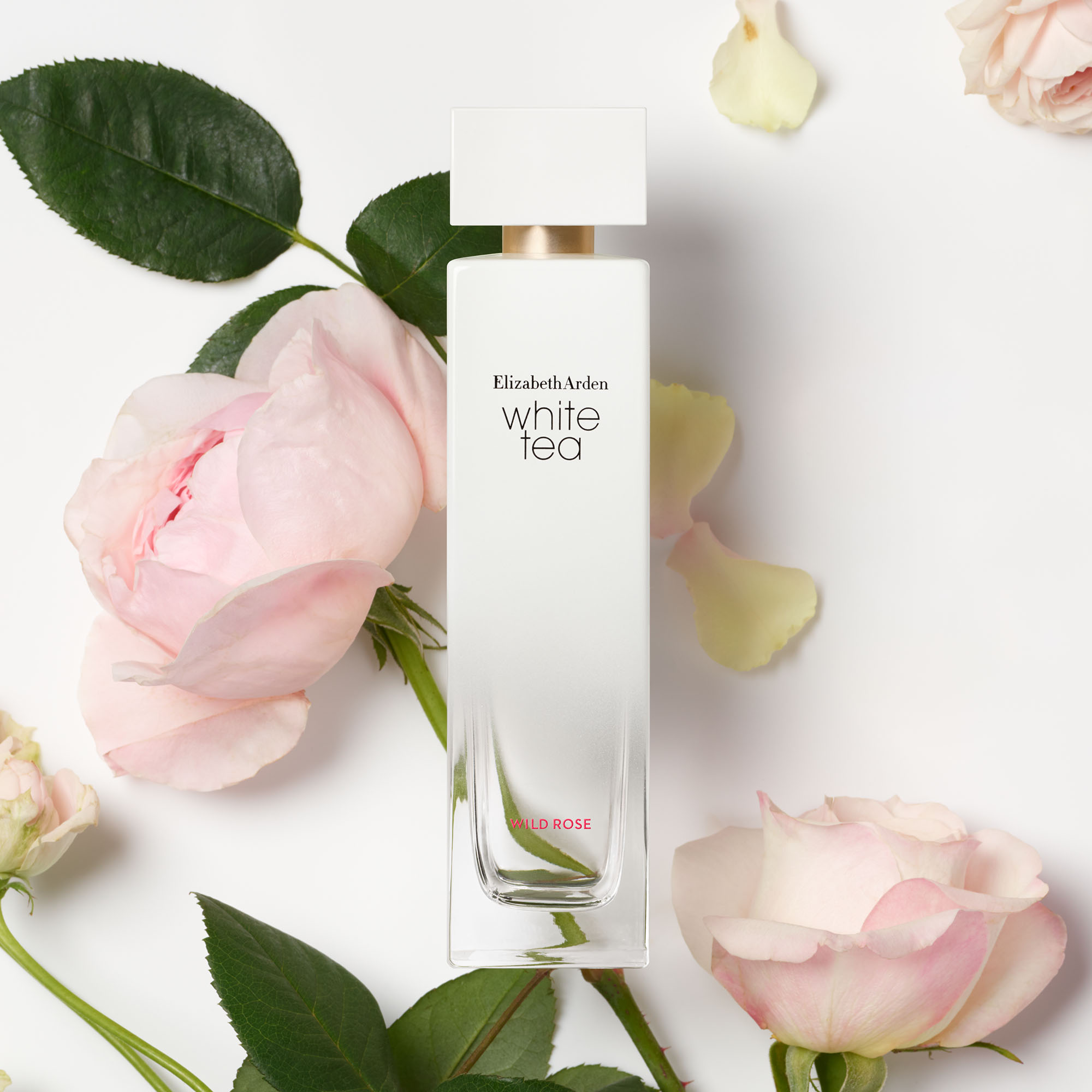 Perfume Elizabeth Arden White Tea Wild Rose Eau de Toilette Feminino 100ML