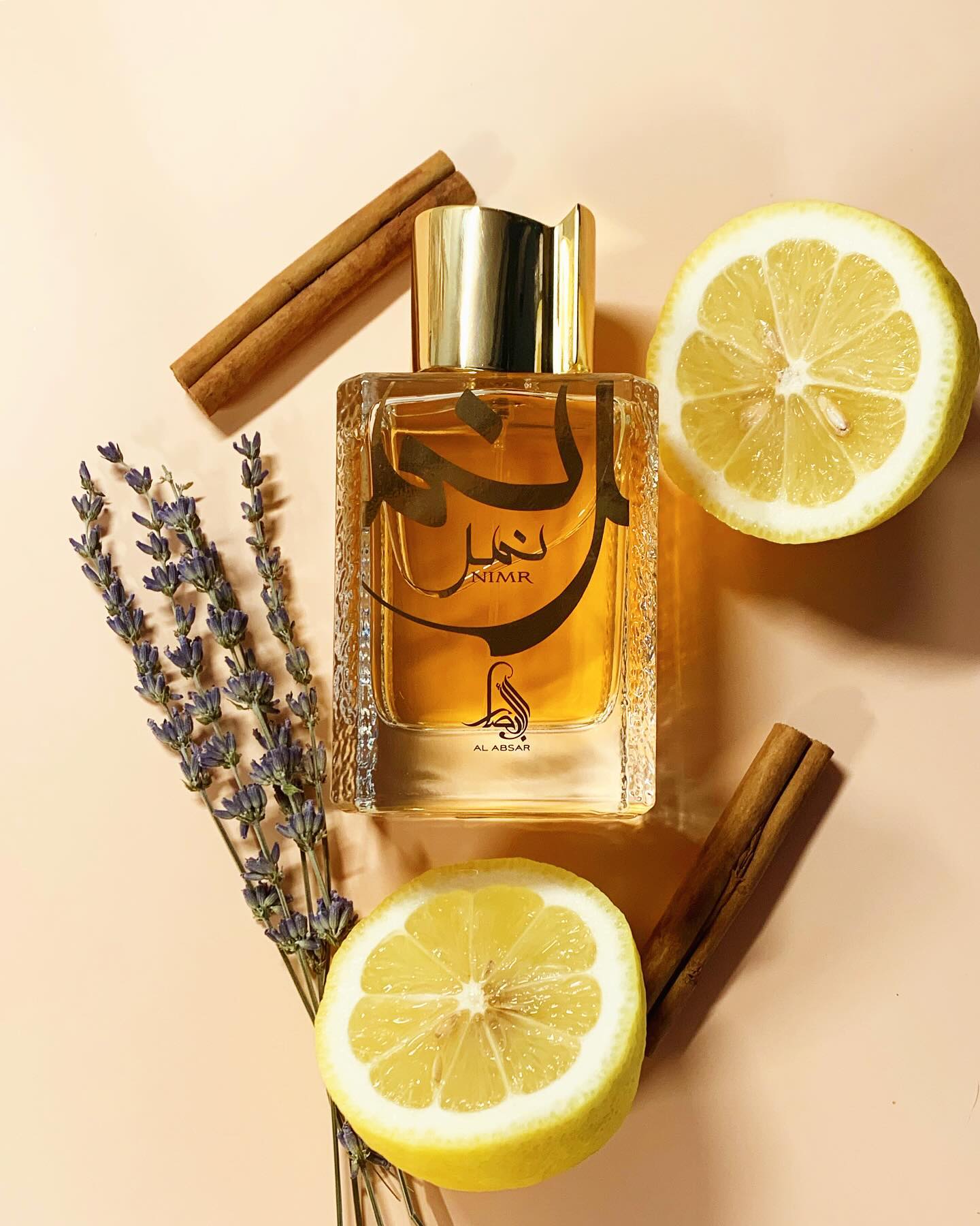 Perfume Al Absar Nimr Eau de Parfum Masculino 100ML