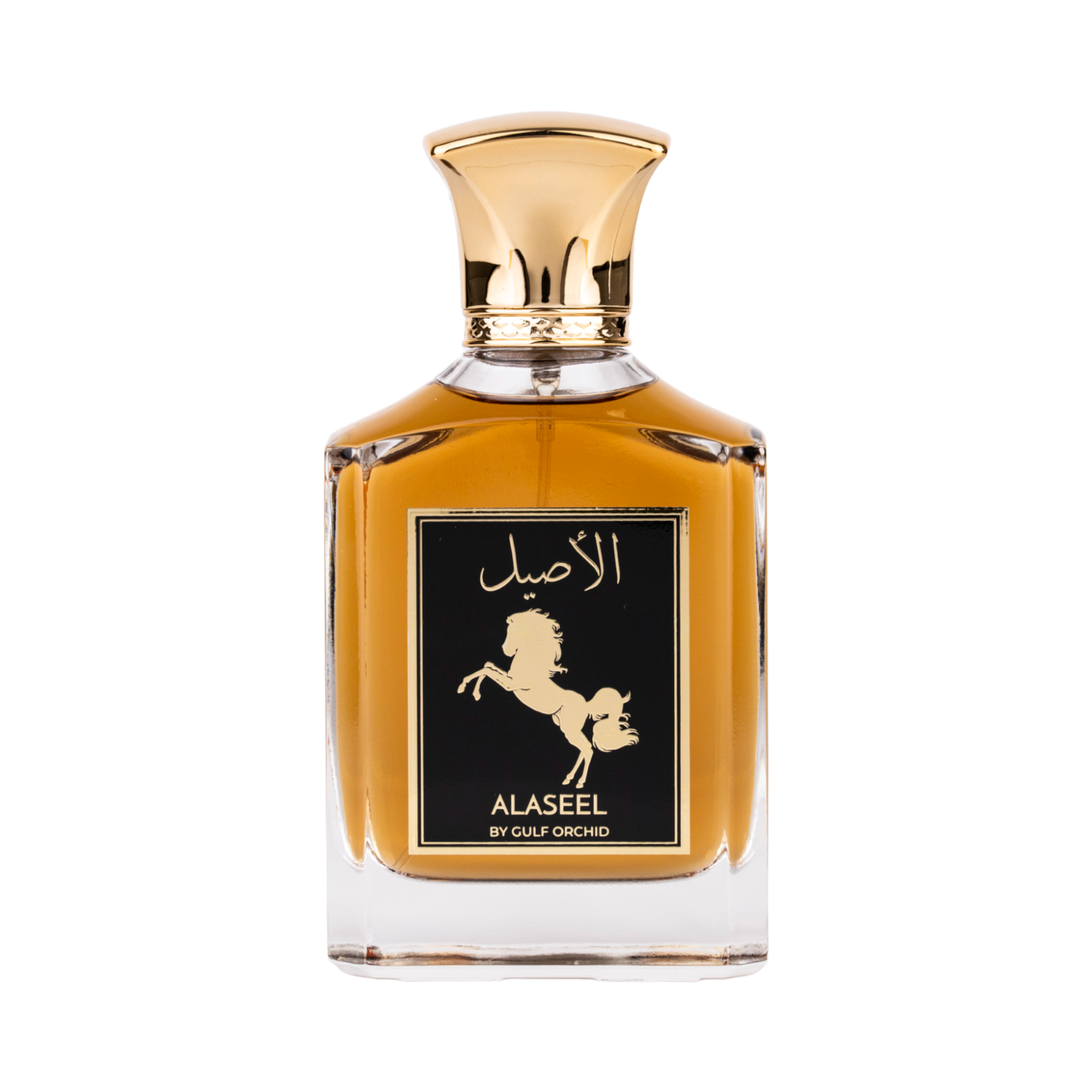 Perfume Gulf Orchid Alaseel Eau de Parfum Masculino 100ML
