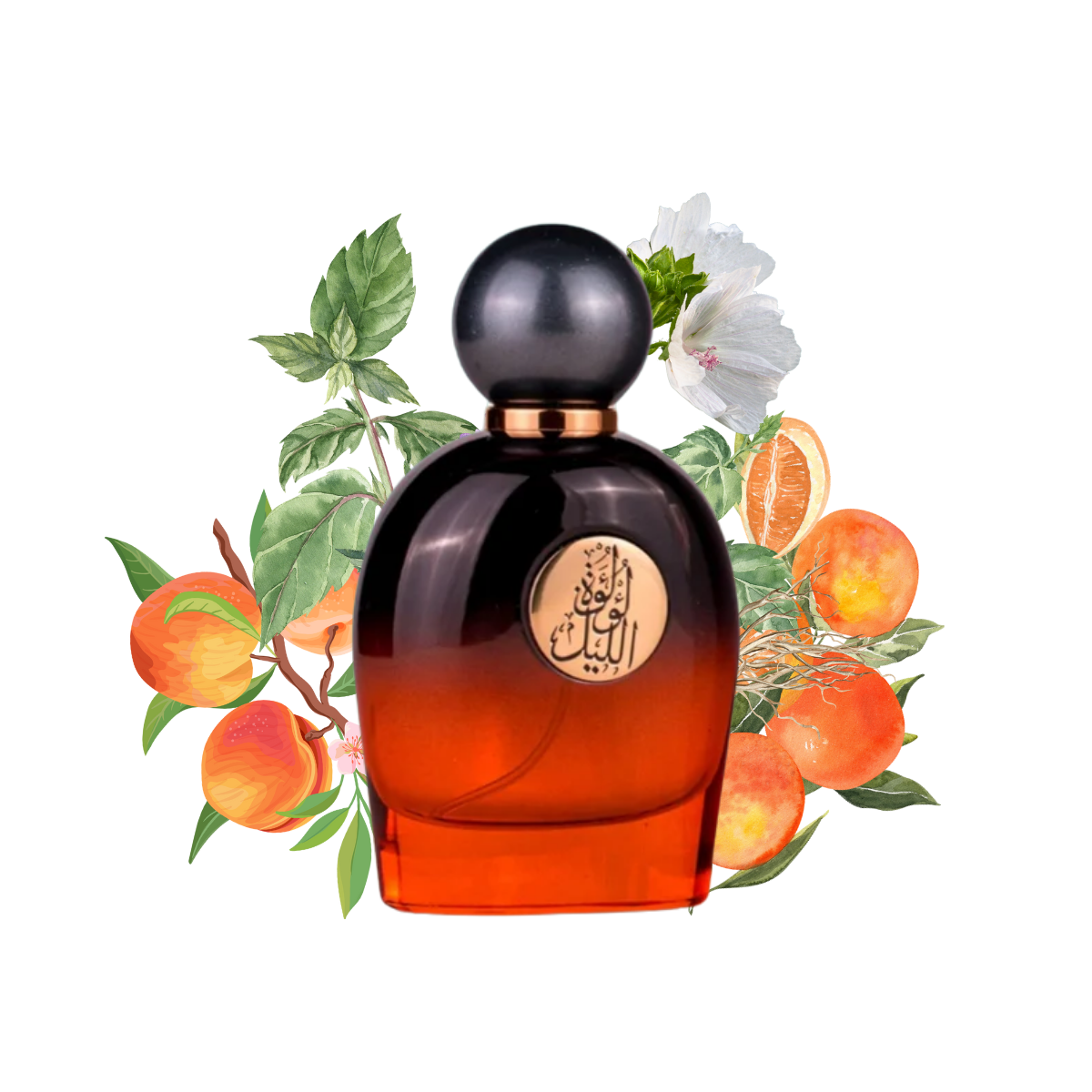 Perfume Gulf Orchid Lulut Allail Eau de Parfum Feminino 80ML
