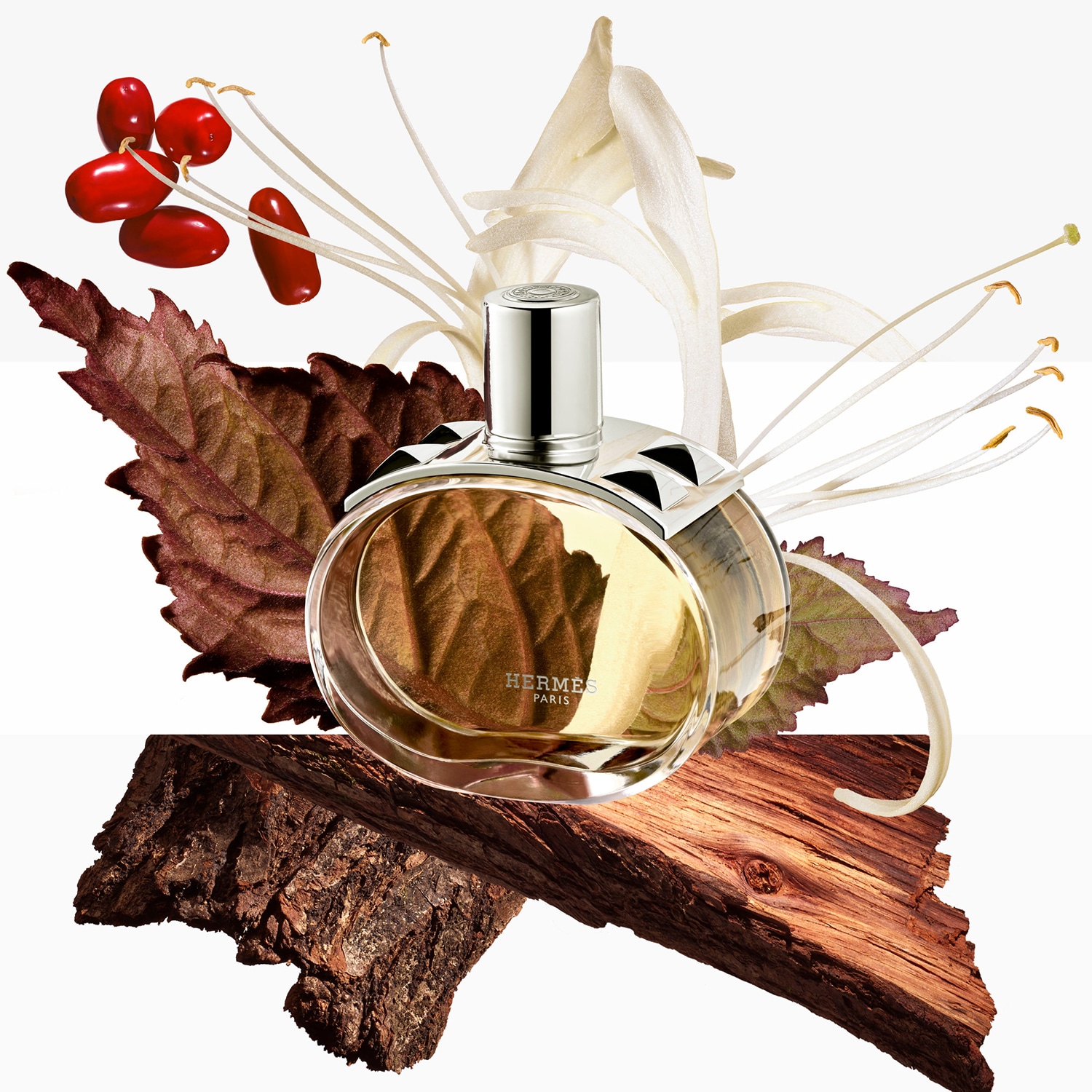 Perfume Hermes Barénia Eau de Parfum Feminino 100ML