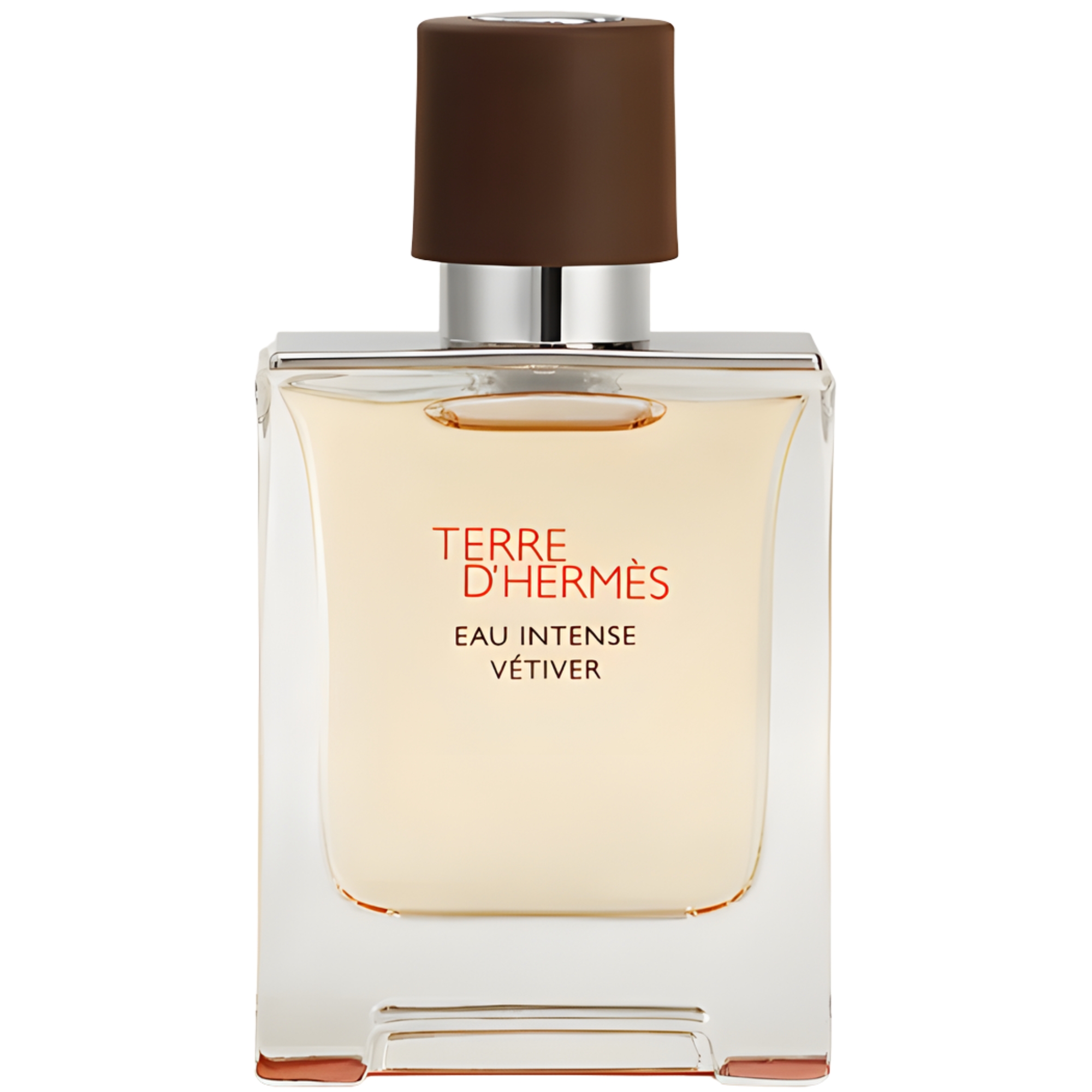 Perfume Hermes Terre D'Hermes Eau de Parfum Intense Masculino 100ML