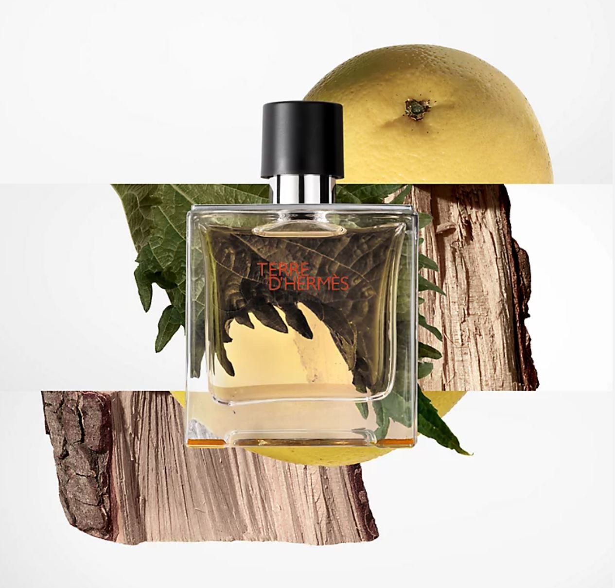 Perfume Hermes Terre D'Hermes Eau de Toilette Masculino 100ML