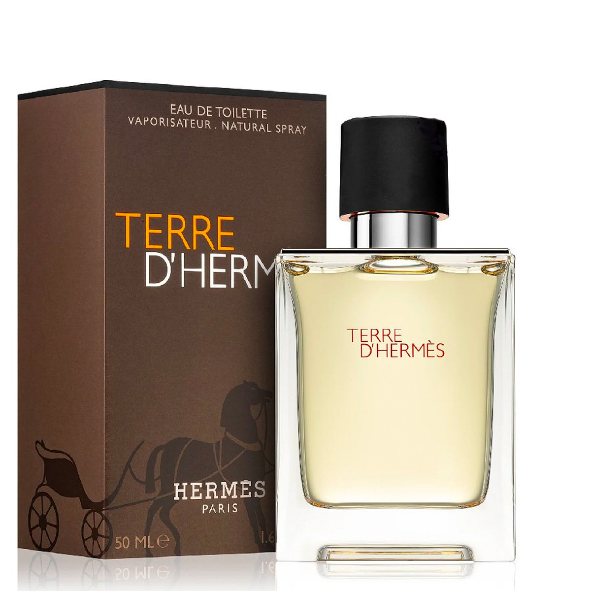 Perfume Hermes Terre D'Hermes Eau de Toilette Masculino 50ML