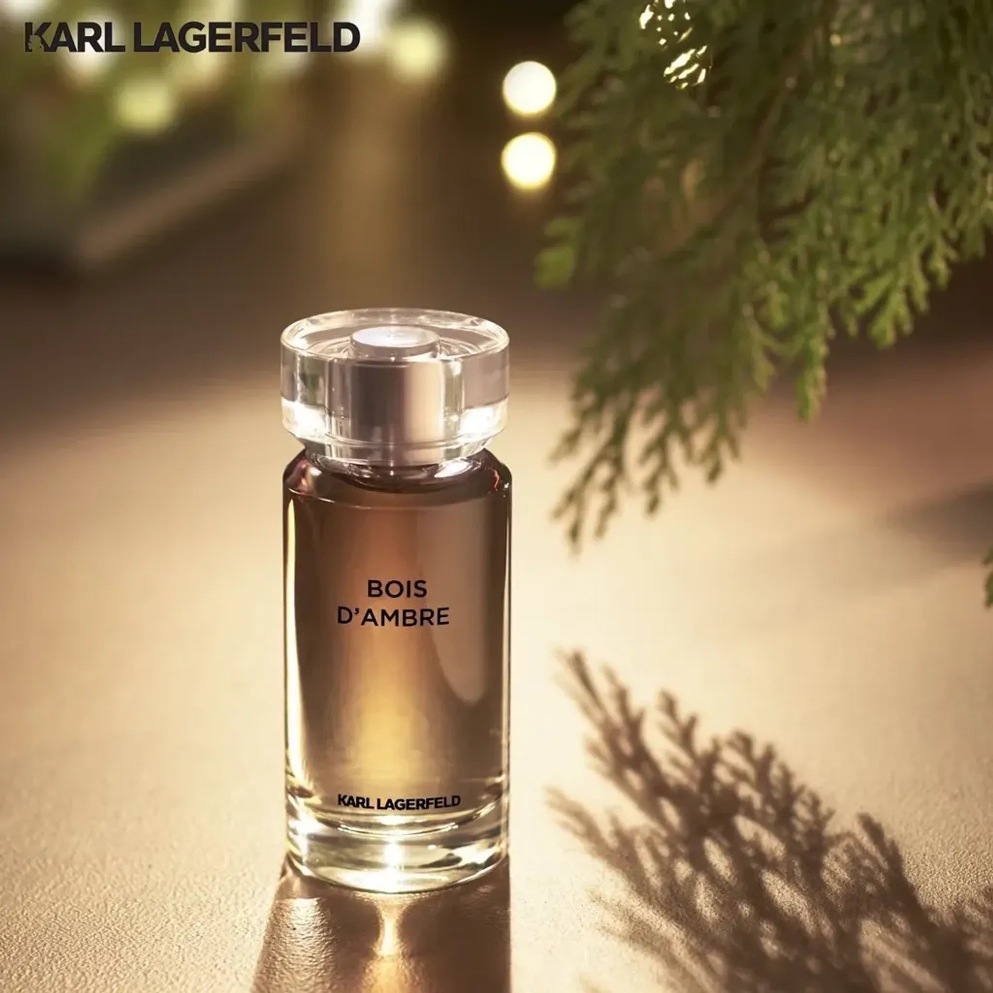 Perfume Karl Lagerfeld Bois D'Ambre Eau de Toilette Masculino 100ML