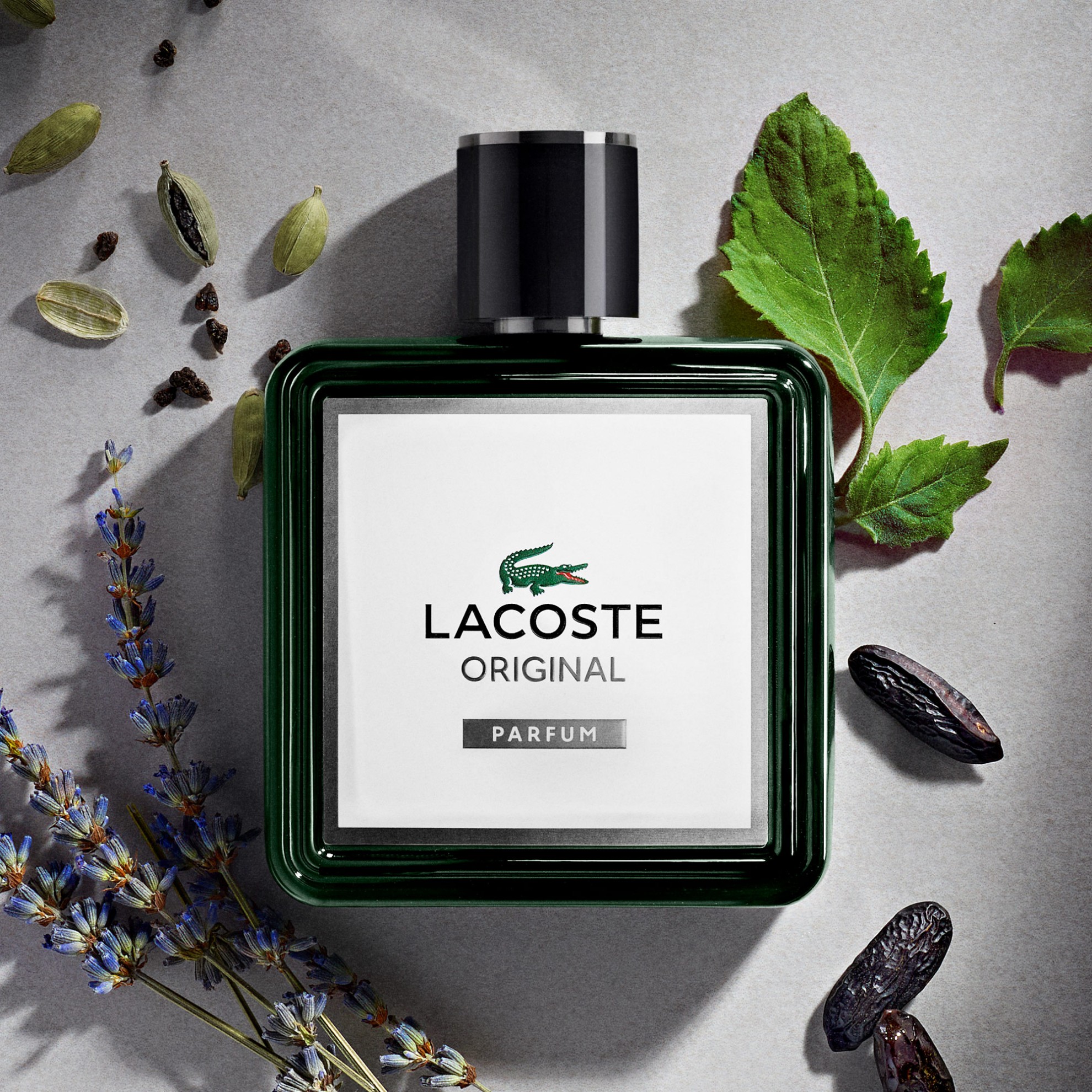 Perfume Lacoste Original Eau de Parfum Masculino 100ML