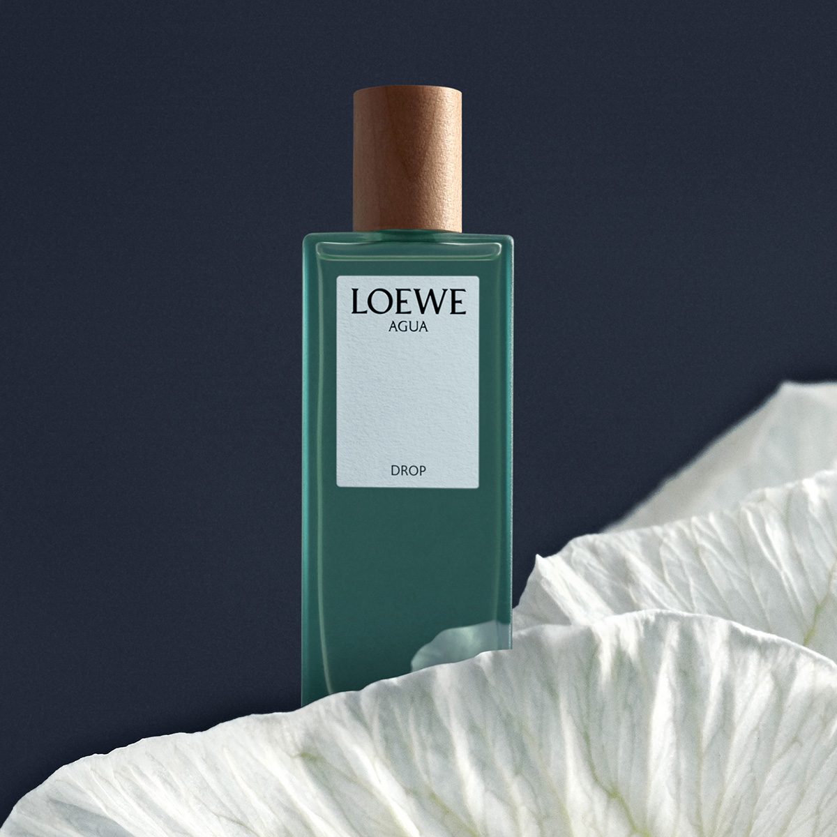 Perfume Loewe Agua Drop Eau de Parfum Feminino 100ML