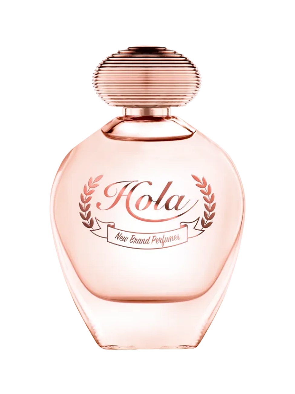 Perfume New Brand Luxury Eau de Parfum Feminino 100ML