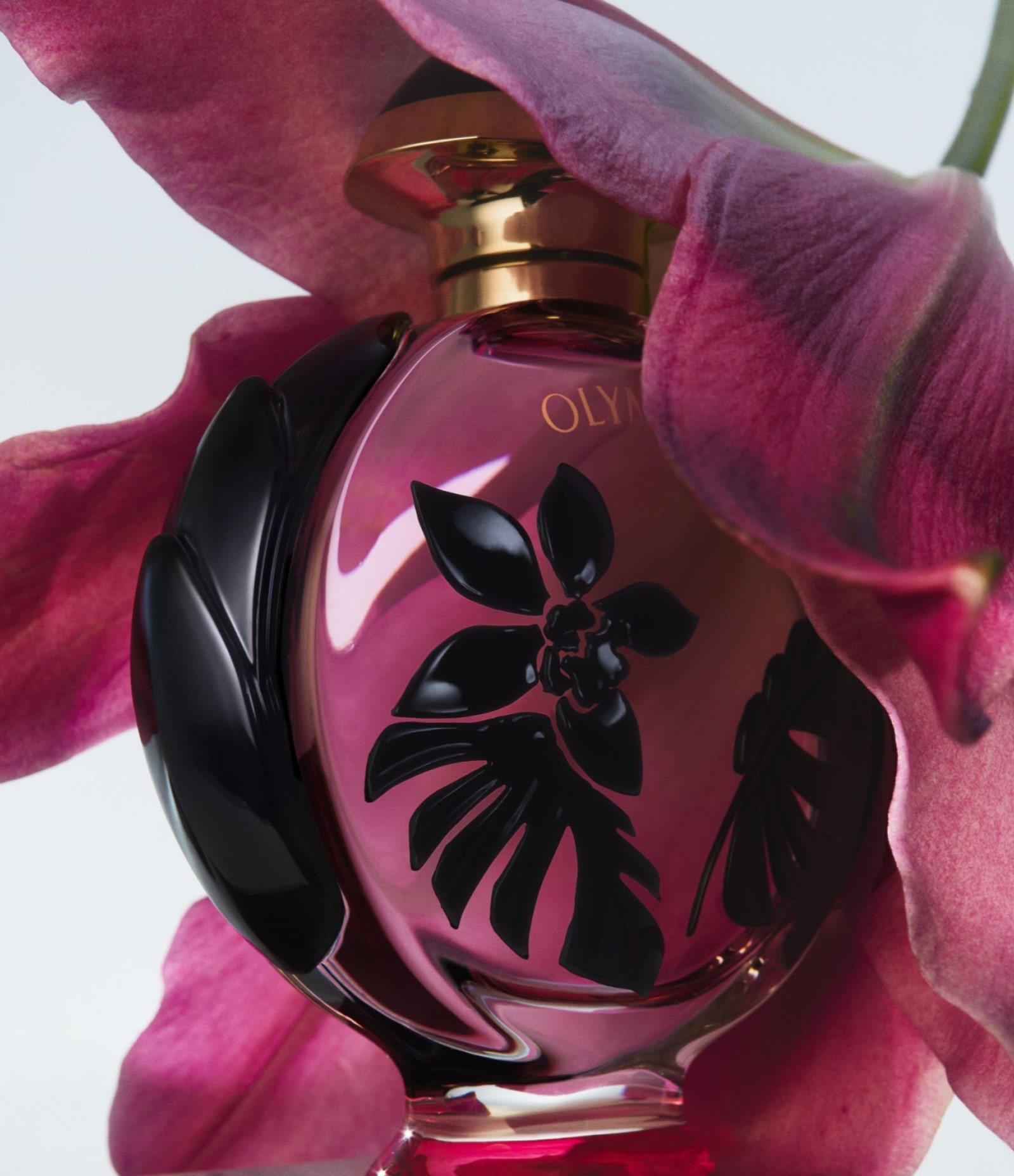 Perfume Paco Rabanne Olympea Flora Eau de Parfum Intense Feminino 80ML