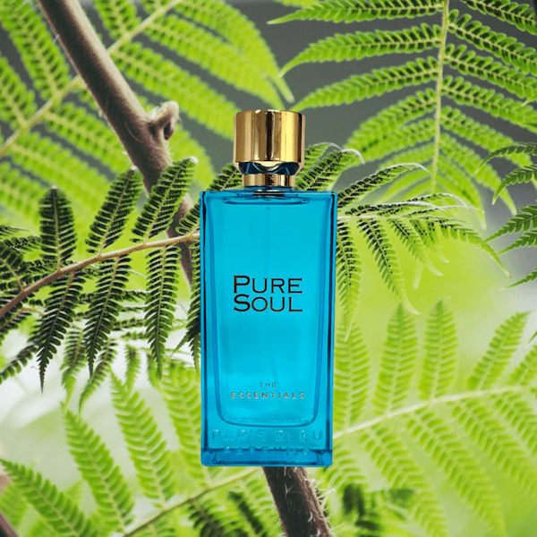 Perfume Paris Bleu Pure Soul Eau de Parfum Masculino 100ML