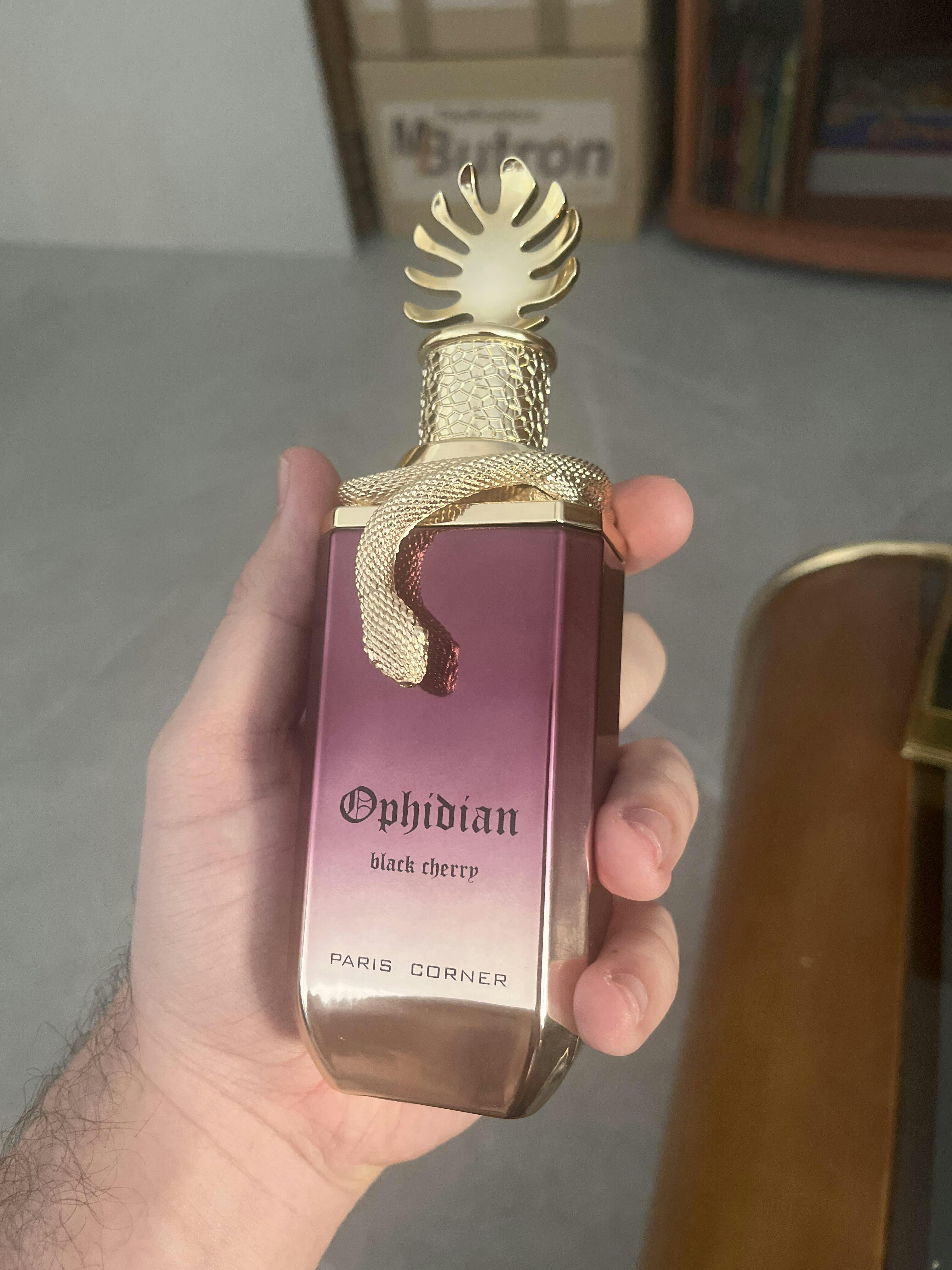 Perfume Paris Corner Ophidian Black Cherry Eau de Parfum Unissex 100ML