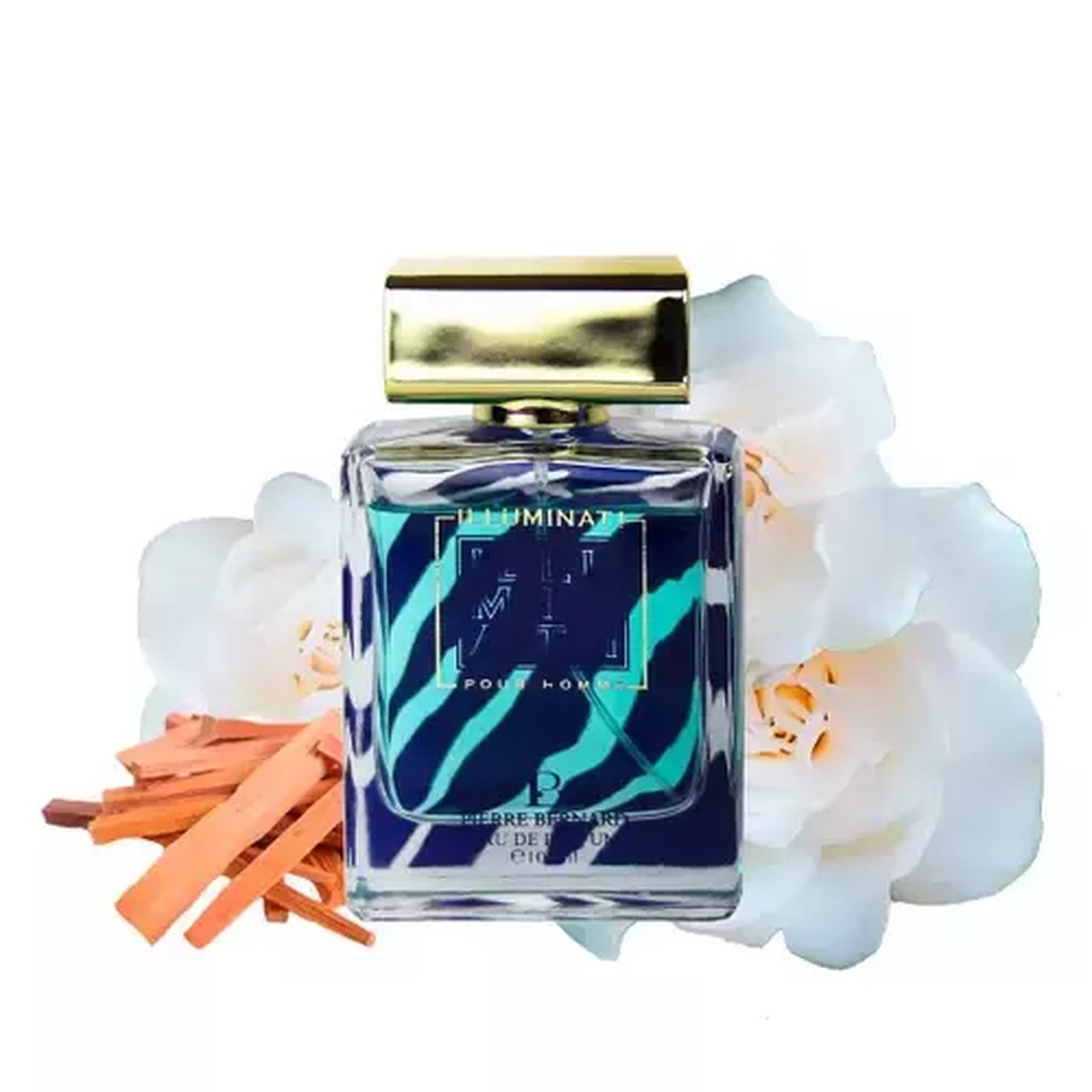 Perfume Pierre Bernard Illuminati Eau de Parfum Masculino 100ML