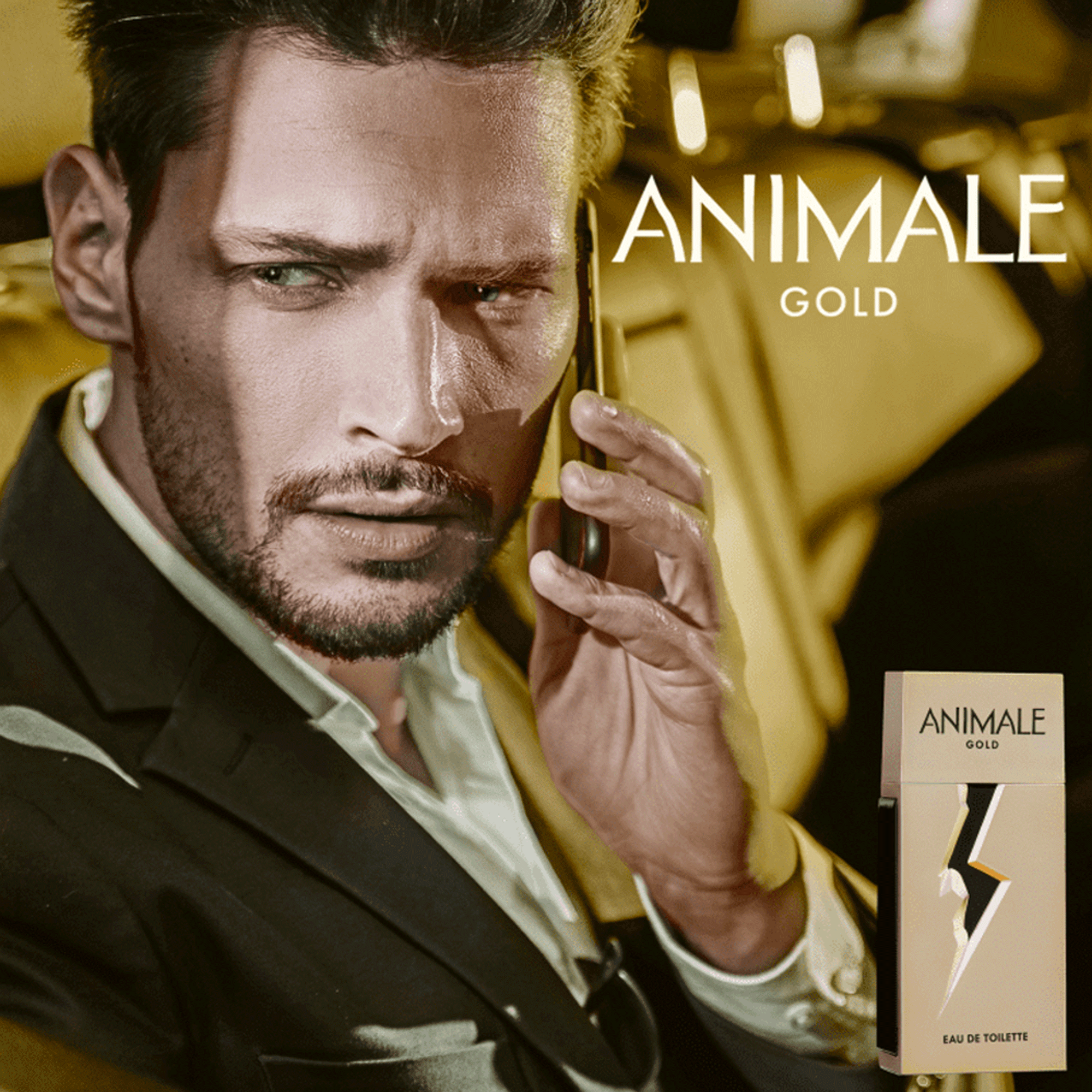 Perfume Animale Gold Eau de Toilette Masculino 100ML