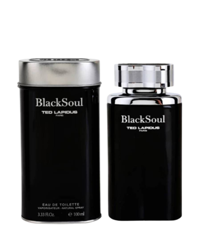 Perfume Ted Lapidus Black Soul Eau de Toilette Masculino 100ML