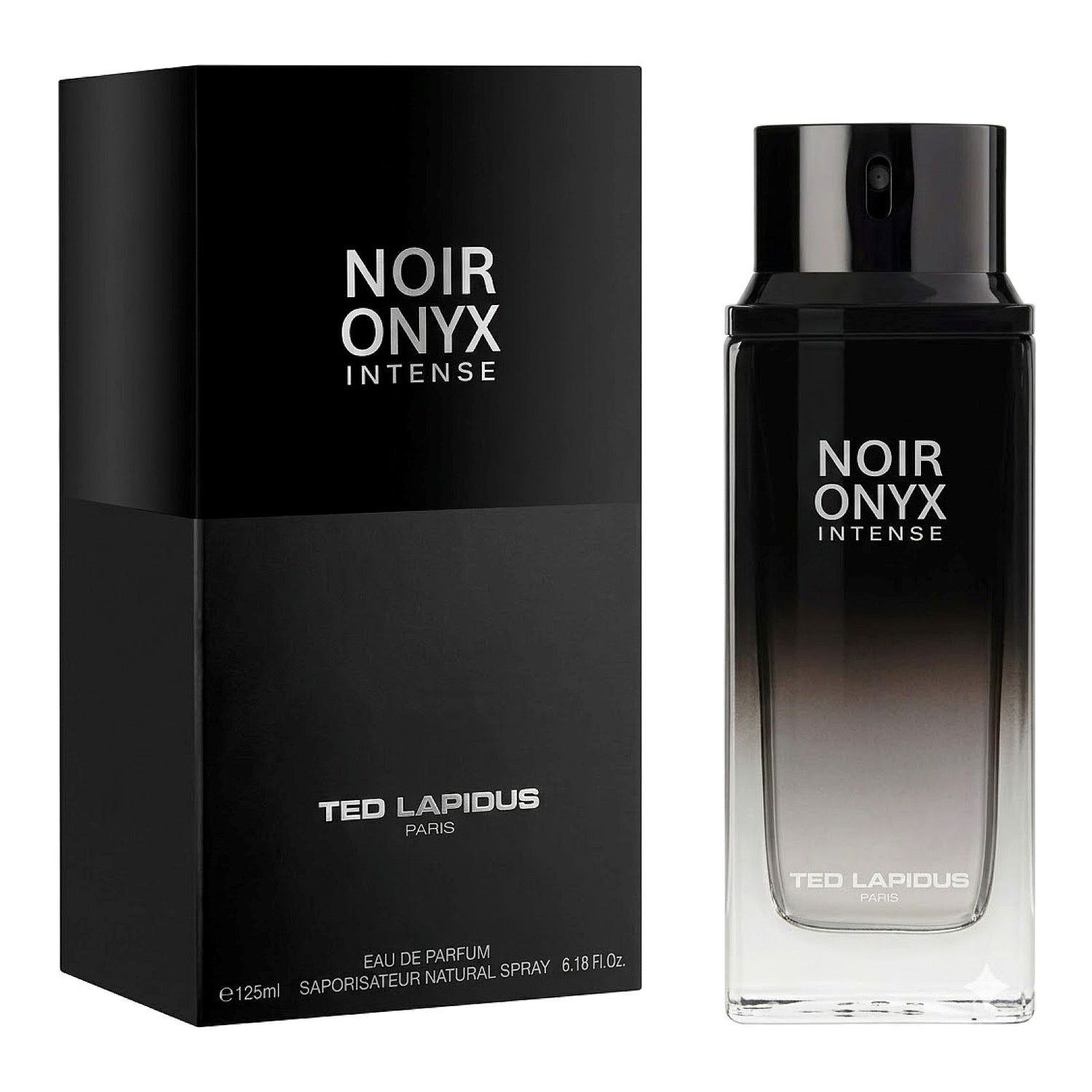 Perfume Ted Lapidus Noir Onyx Intense Eau de Parfum Masculino 125ML