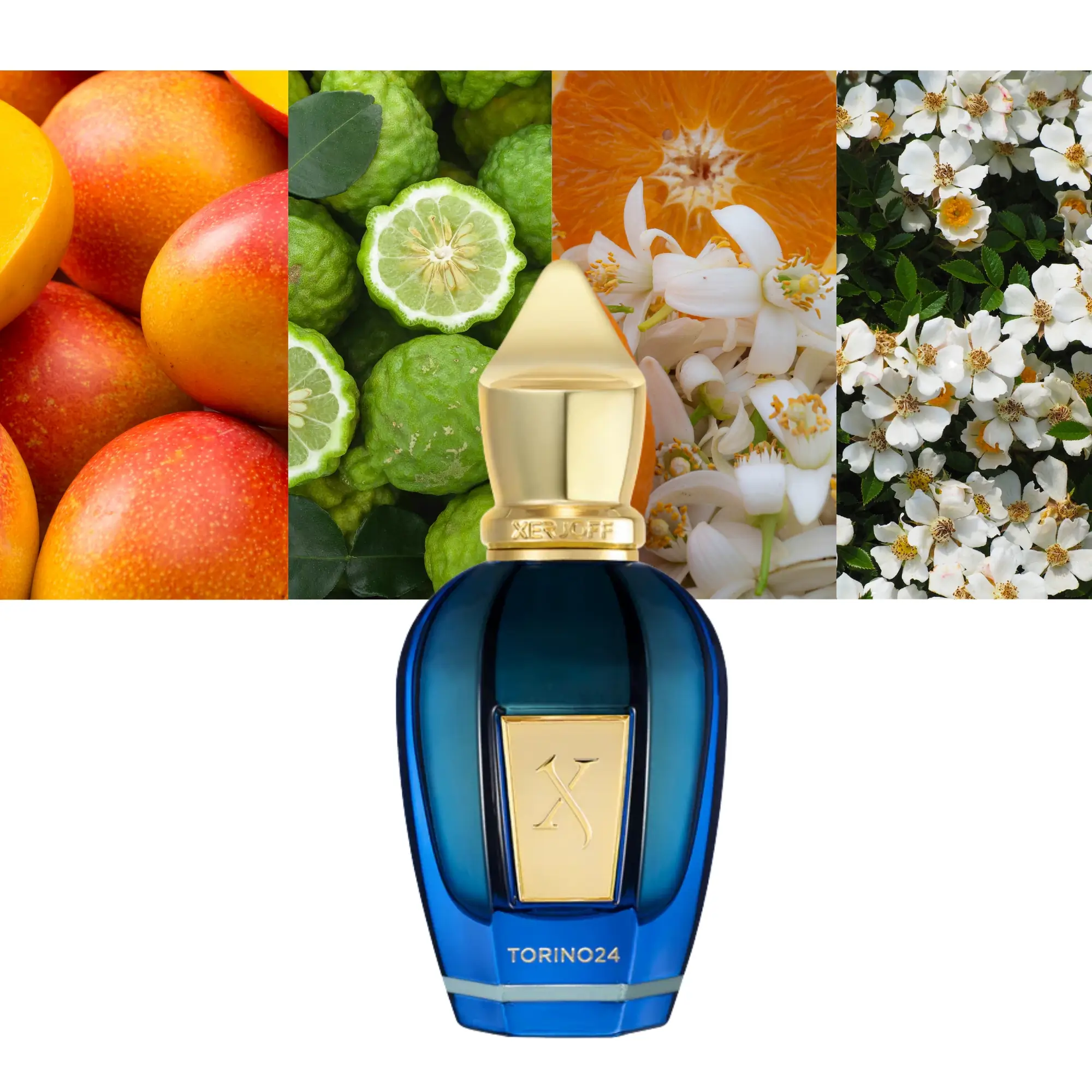 Perfume Xerjoff Torino 24 Eau de Parfum Unissex 50ML