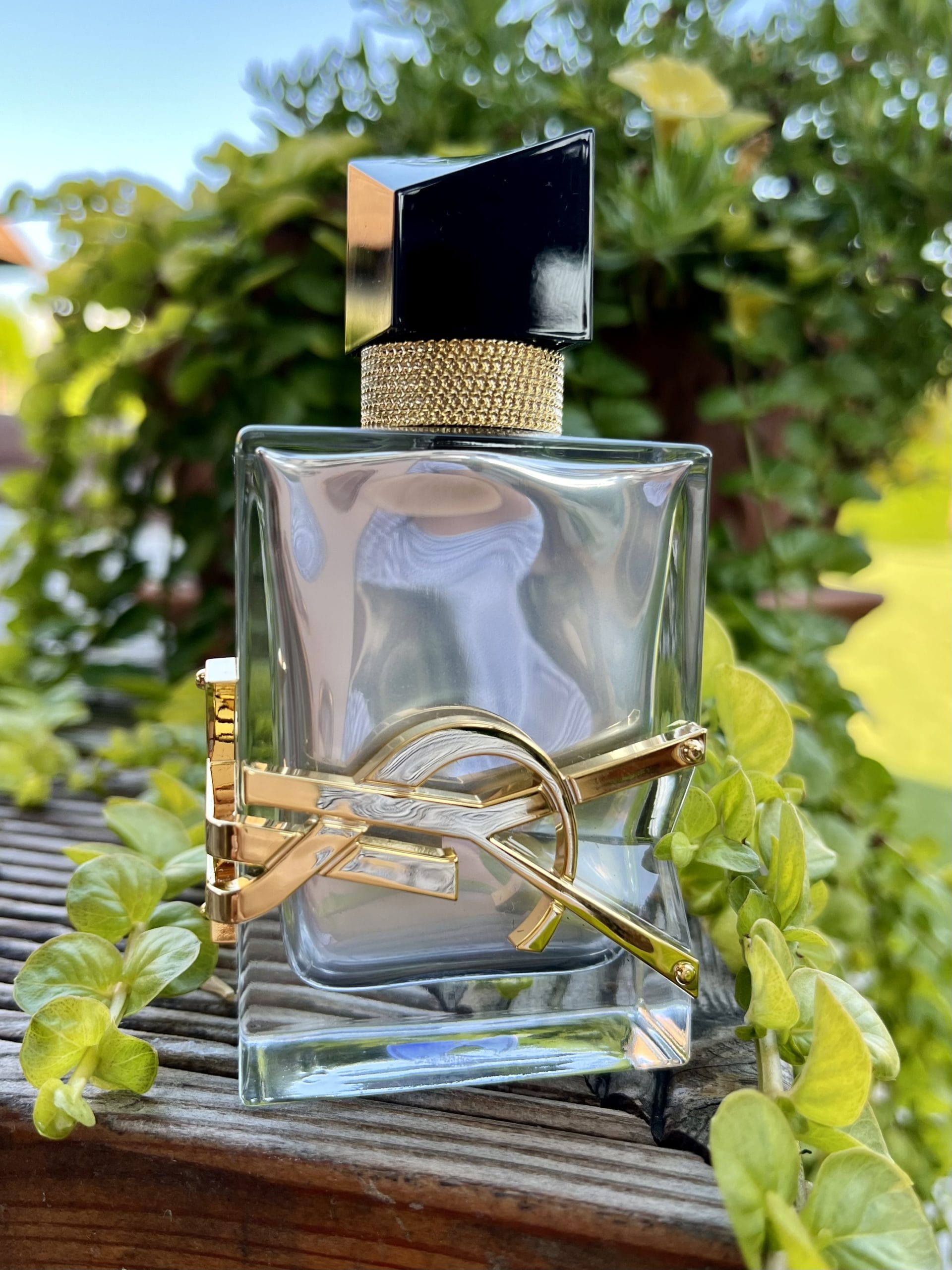 Perfume Yves Saint Laurent Libre Absolu Platine Eau de Parfum Feminino 90ML