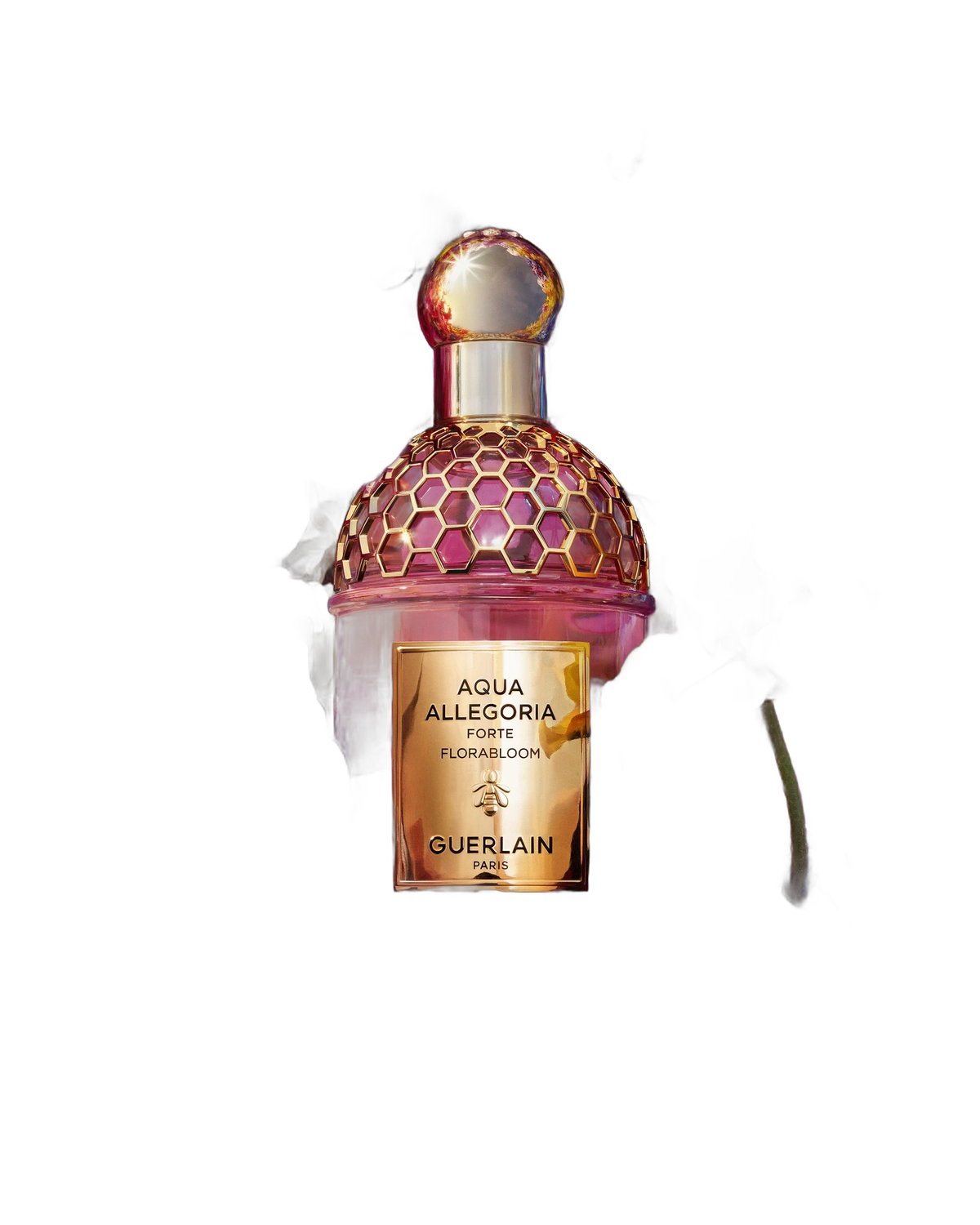 Guerlain Set Aqua Allegoria Eau de Parfum 50ML+ Body LOTION75ML+5ML