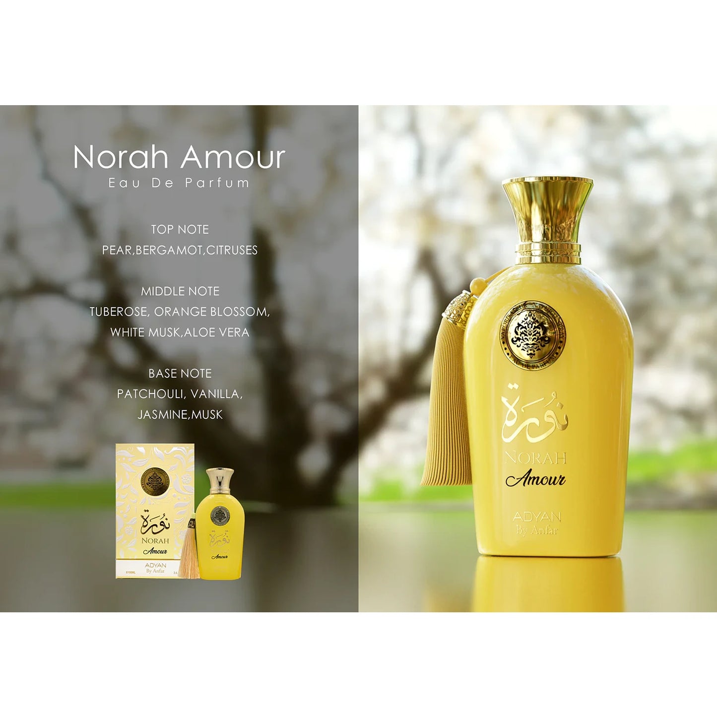 Perfume Adyan Norah Amour Eau de Parfum Feminino 100ML