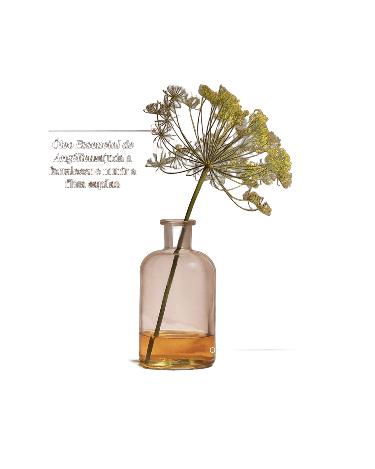 L'Occitane Aceite Capilar Reparador · Óleo Capilar