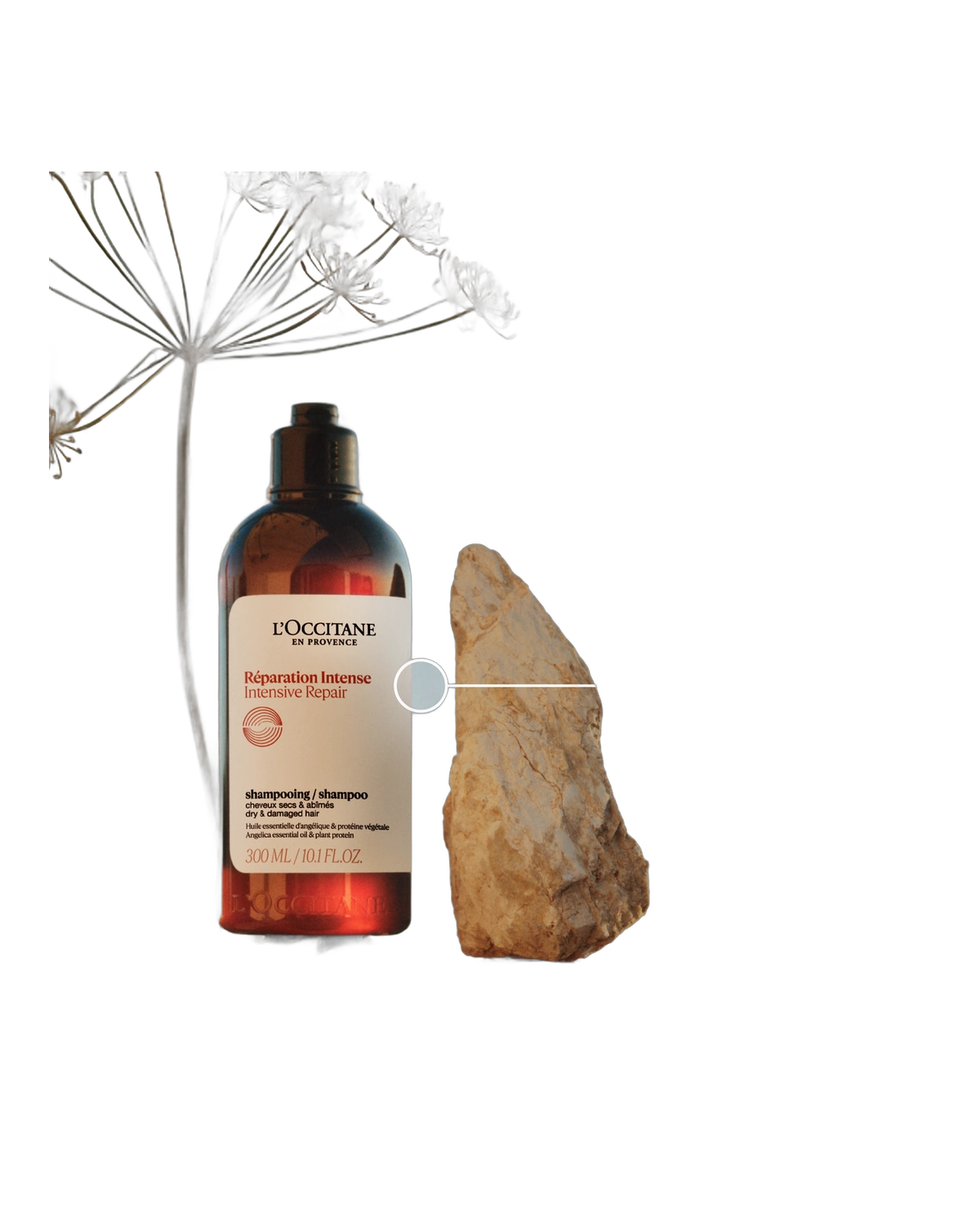 L'Occitane Shampoo Reparacion Intensa