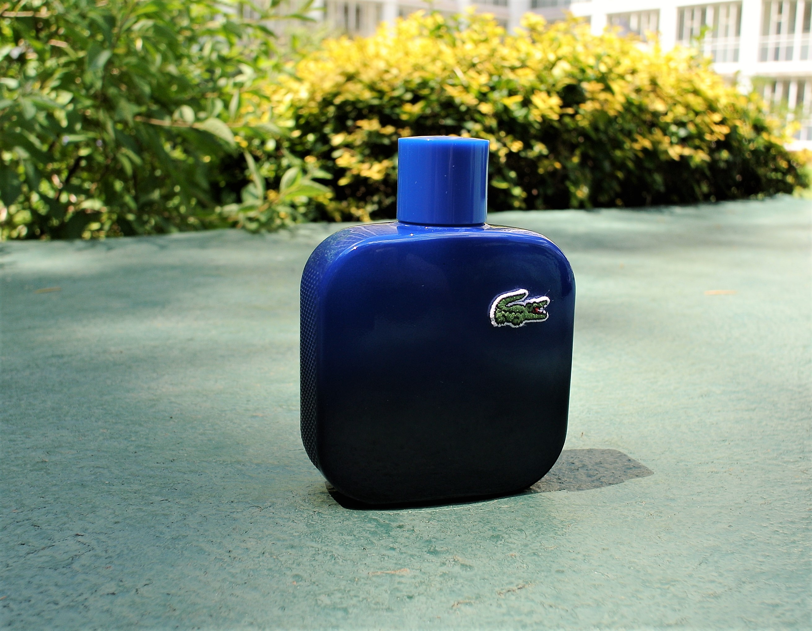 Lacoste Magnetic
