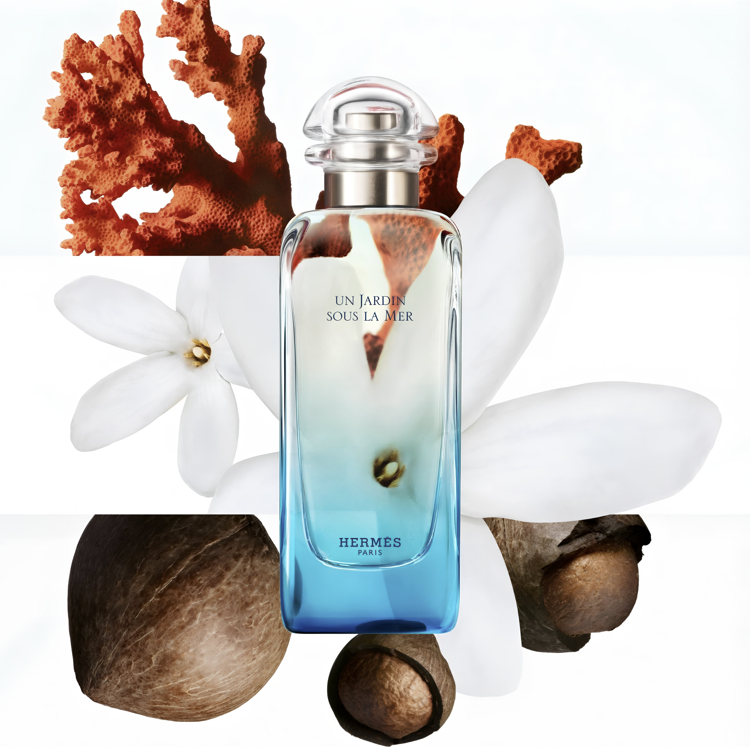 Hermes Jardin Sous La Mer