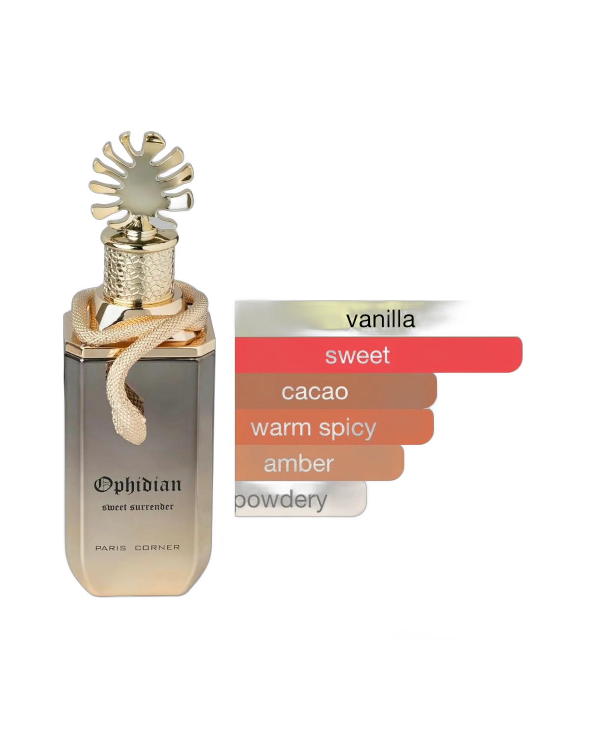 Paris Corner Ophidian Sweet