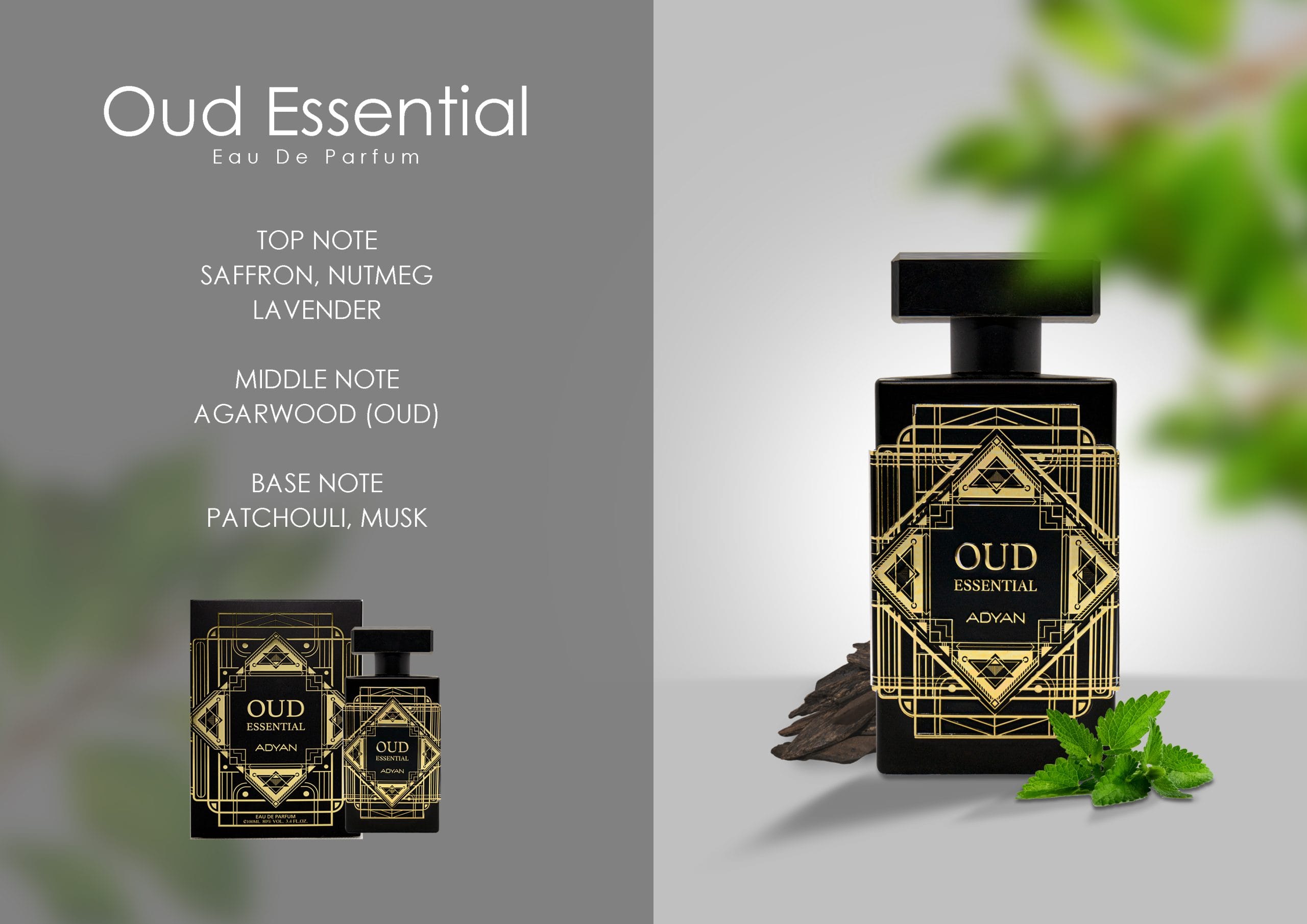 Perfume Adyan Oud Essential Eau de Parfum Masculino 100ML