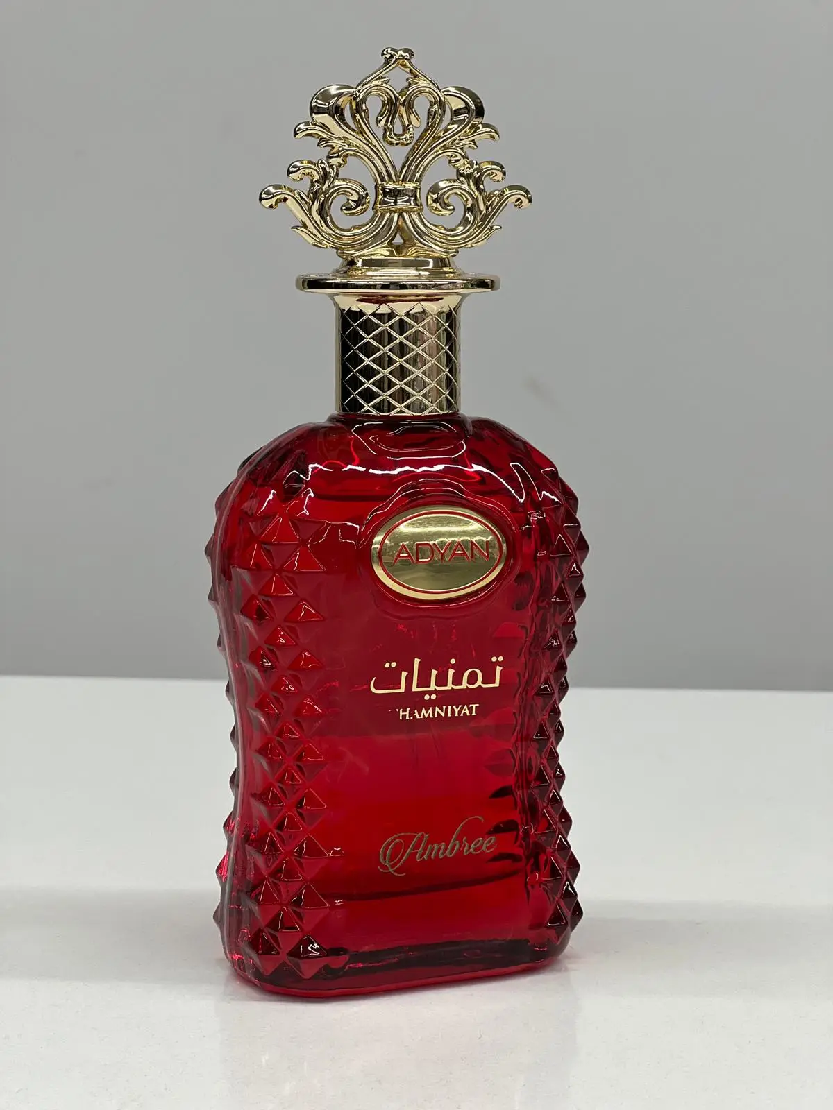 Perfume Adyan Thamniyat Ambree Eau de Parfum Feminino 100ML