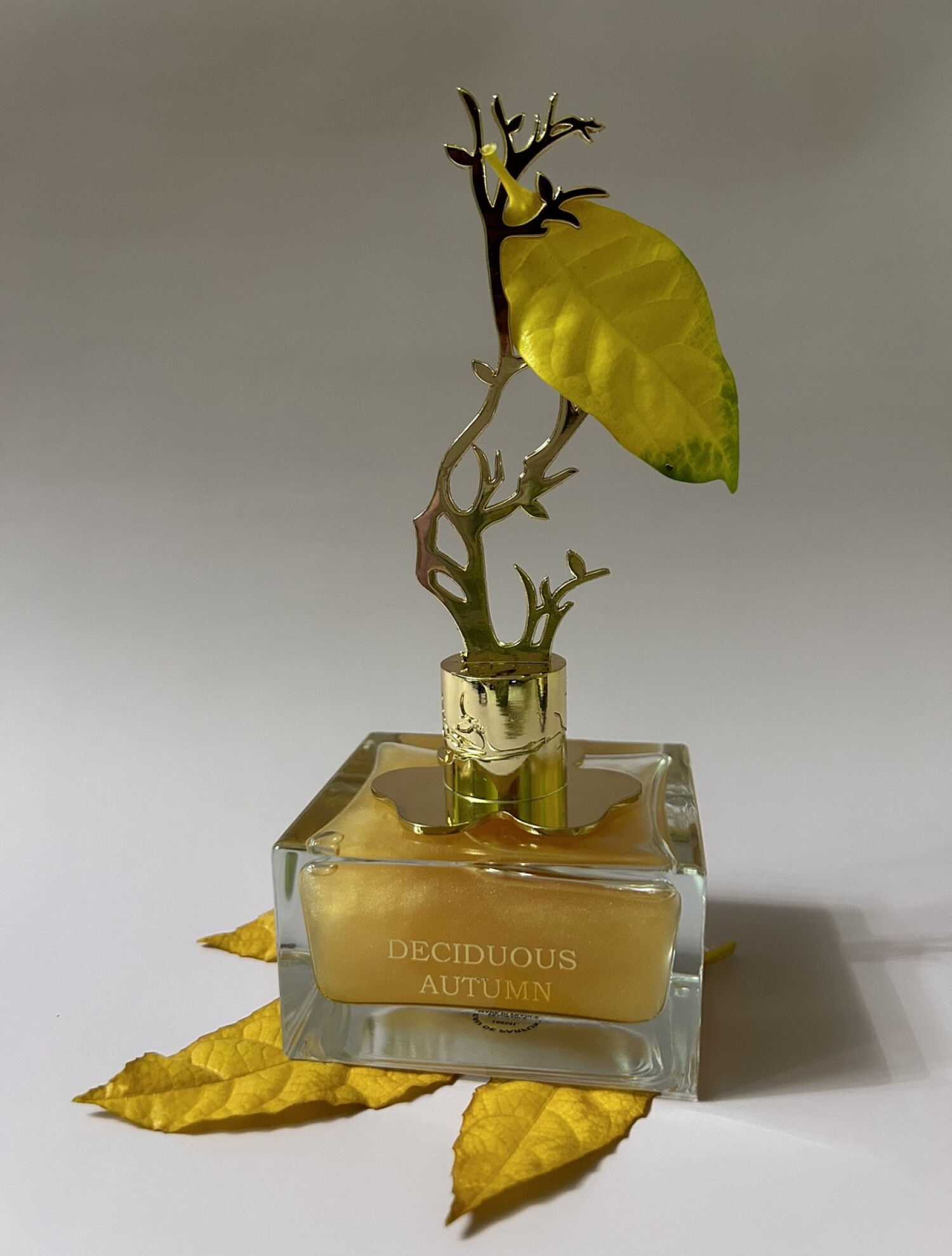 Perfume Aurora Scents Deciduous Autumn Eau de Parfum Feminino 100ML
