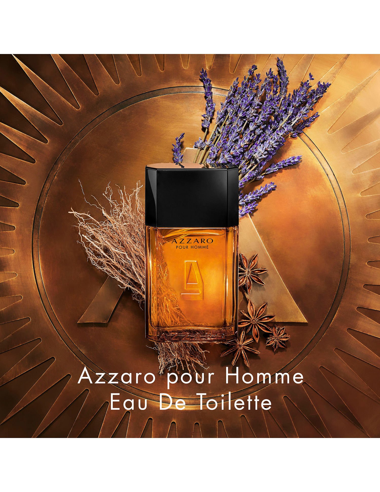 Perfume Azzaro Pour Homme Eau de Toilette Masculino 100ML
